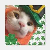 猫ラッキー？ マグネット (正面)