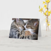 猫ラブカード カード (黄色い花)