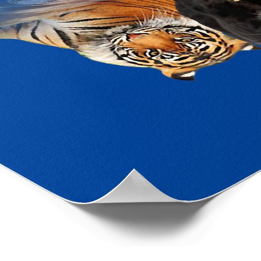 猫リフレクションフレンド猫好きかわいいトラ ポスター (角)