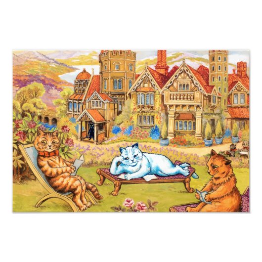 猫リラックスがナプスベリーの境内で フォトプリント            (正面)