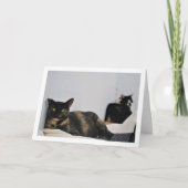 猫リラックスの カード (正面)