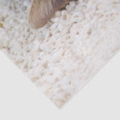 猫リラックスティッシュペーパー 薄葉紙 (詳細)