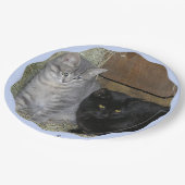 猫ルール紙プレート ペーパープレート (アングル)