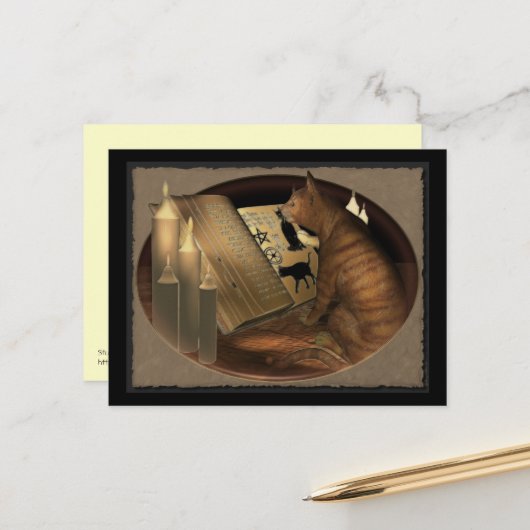 猫レッスン ポストカード (正面/裏面インサイチュ)