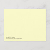 猫レッスン ポストカード (裏面)