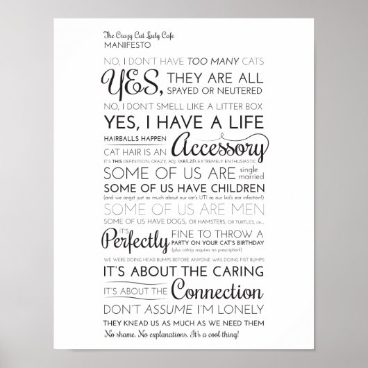 猫レディ熱狂するーカフェ宣言 ポスター (正面)