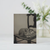 猫ヴィンテージ写真はがきのポートレート ポストカード (スタンド正面)