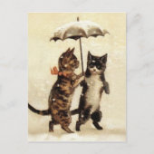 猫一傘 ポストカード (正面)