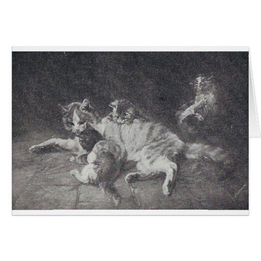 猫一家 (正面横)