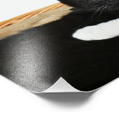 猫二匹のラブフォトプリント フォトプリント            (角)