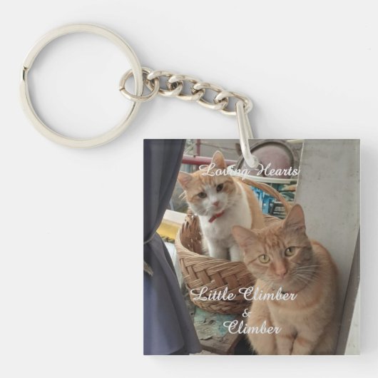 猫二匹、写真と名前を入れ替え キーホルダー (正面)