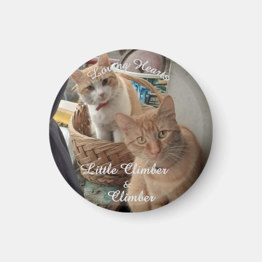 猫二匹、写真と名前を入れ替え マグネット (正面)
