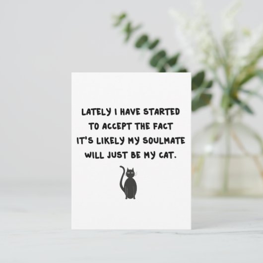 猫仲間 ポストカード (スタンド正面)