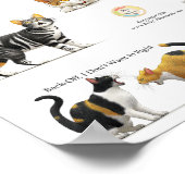 猫体言語 ポスター (角)