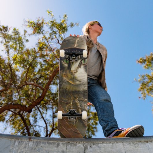 猫侍。 スケートボード (室外1)
