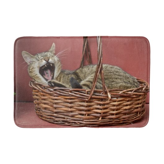 猫入りバスケットマット バスマット (正面)