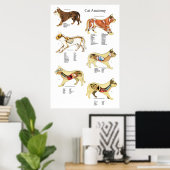 猫内臓解剖学獣医図 ポスター (ホームオフィス)