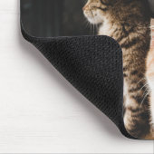 猫写真が大好き マウスパッド (コーナー)