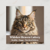 猫写真でカスタマイズ可能なCattery名刺 スクエア名刺 (正面)