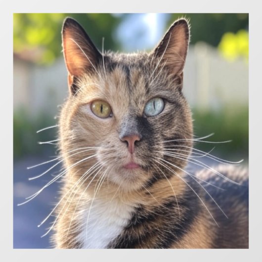 猫写真の追加カスタマイズ ウィンドウサイン (シート)