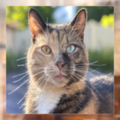 猫写真の追加カスタマイズ ウィンドウサイン (シート2)