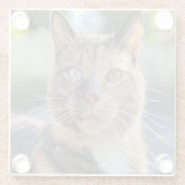 猫写真の追加カスタマイズ ガラスコースター (裏面)