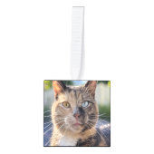 猫写真の追加カスタマイズ キューブオーナメント (正面)