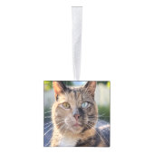 猫写真の追加カスタマイズ キューブオーナメント (右)