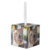 猫写真の追加カスタマイズ キューブオーナメント (裏面アングル)