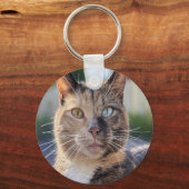 猫写真の追加カスタマイズ キーホルダー (裏面)