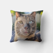 猫写真の追加カスタマイズ クッション (裏面)