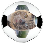 猫写真の追加カスタマイズ サッカーボール (回転)