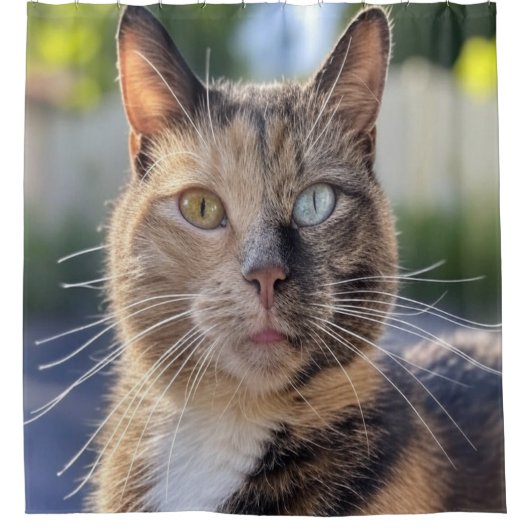 猫写真の追加カスタマイズ シャワーカーテン (正面)