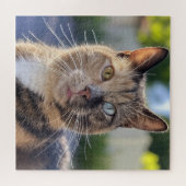 猫写真の追加カスタマイズ ジグソーパズル (横)