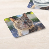 猫写真の追加カスタマイズ スクエアペーパーコースター (アングル)
