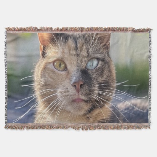 猫写真の追加カスタマイズ スローブランケット (正面)