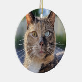 猫写真の追加カスタマイズ セラミックオーナメント (右)