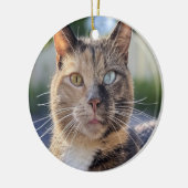 猫写真の追加カスタマイズ セラミックオーナメント (左)