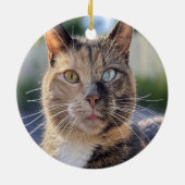 猫写真の追加カスタマイズ セラミックオーナメント (裏面)