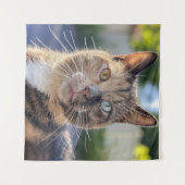 猫写真の追加カスタマイズ タペストリー (正面(横))