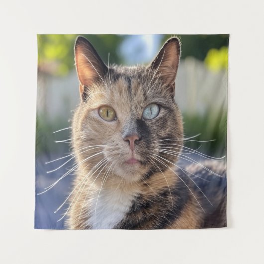 猫写真の追加カスタマイズ タペストリー (正面)