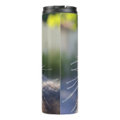 猫写真の追加カスタマイズ タンブラー (裏面)