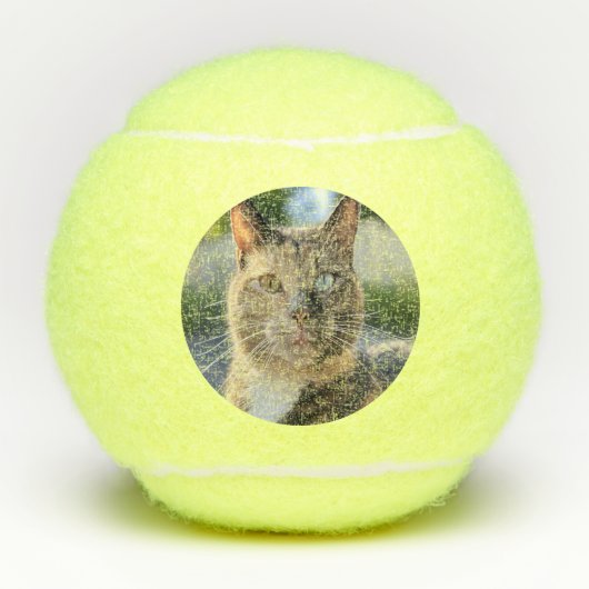 猫写真の追加カスタマイズ テニスボール (正面)