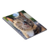 猫写真の追加カスタマイズ ノートブック (右側)