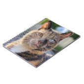 猫写真の追加カスタマイズ ノートブック (左側)