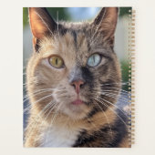 猫写真の追加カスタマイズ プランナー手帳 (裏面)