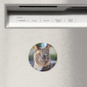 猫写真の追加カスタマイズ マグネット (インサイチュ (食洗機))