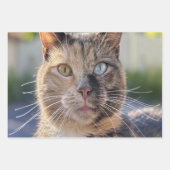 猫写真の追加カスタマイズ ラッピングペーパーシート (正面3)