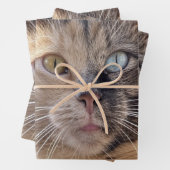 猫写真の追加カスタマイズ ラッピングペーパーシート (インサイチュ)