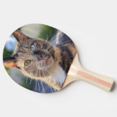 猫写真の追加カスタマイズ 卓球ラケット (横)